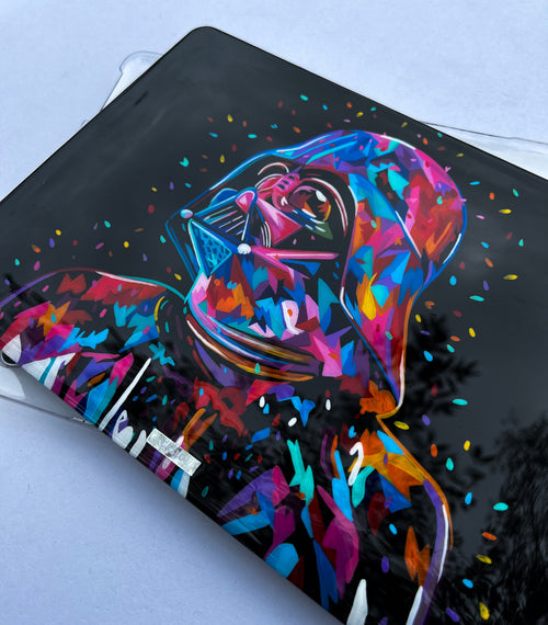 Darth Vader Colores